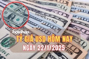 Tỷ giá USD hôm nay 22/1/2025: Đồng USD thế giới giảm về mốc 107 điểm