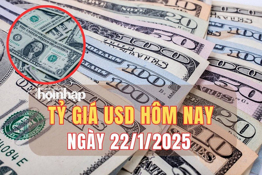 Tỷ giá USD hôm nay 22/1/2025: Đồng USD giảm về mốc 107 điểm