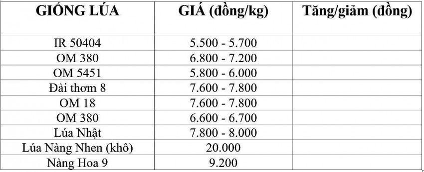 giá lúa gạo giá lúa gạo