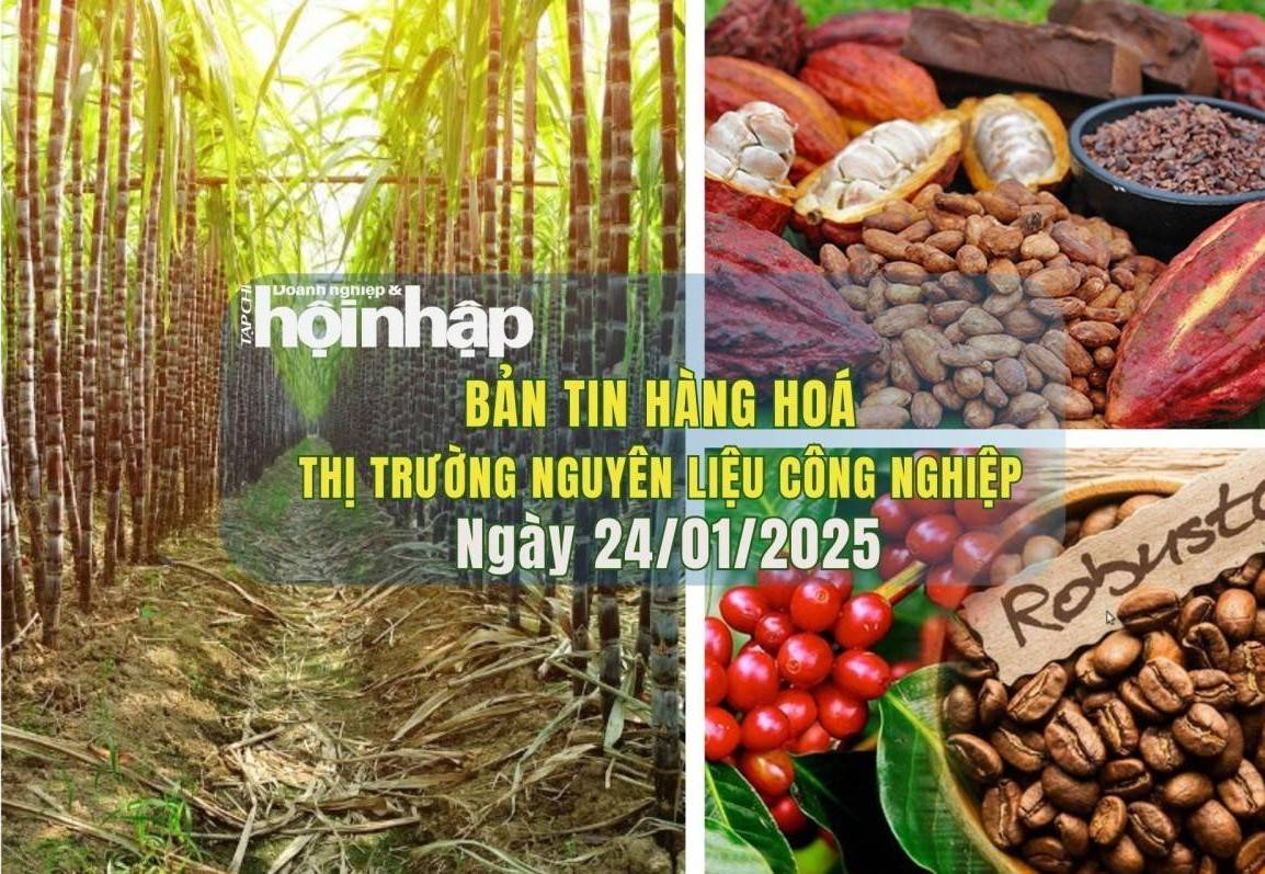 Thị trường nguyên liệu công nghiệp 24/1: Giá cà phê và đường tăng, ca cao giảm