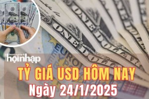 Tỷ giá USD hôm nay 24/1/2025: Đồng USD trong nước và thế giới cùng chiều giảm nhẹ