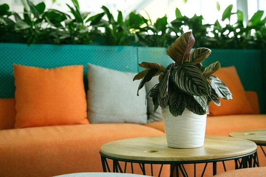 Lối sống xanh - tương lai bền vững cho cộng đồng và môi trường