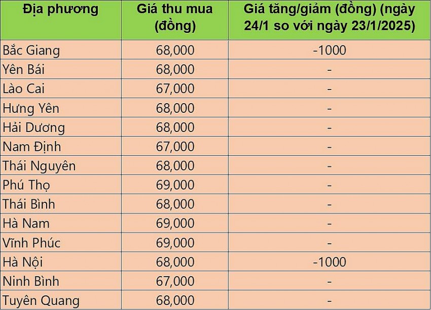 giá heo hơi giá heo hơi