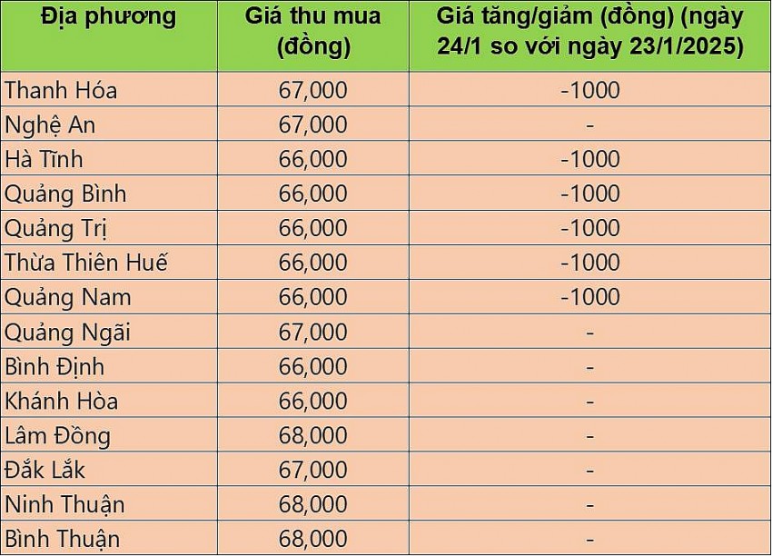 giá heo hơi giá heo hơi