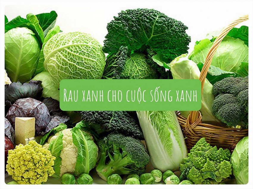 Bí quyết ăn cỗ ngày Tết mà không lo tăng cân