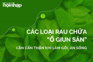 Các loại rau chứa “ổ giun sán” cần cẩn thận khi làm gỏi, ăn sống