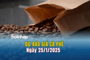 Dự báo giá cà phê 25/1: Giá cà phê trong nước tăng nhẹ