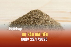 Dự báo giá tiêu 25/1: Giá tiêu thế giới biến động trái chiều, trong nước giảm