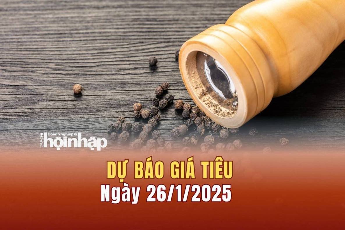 Dự báo giá tiêu 26/1: Giá tiêu trong nước tăng nhẹ