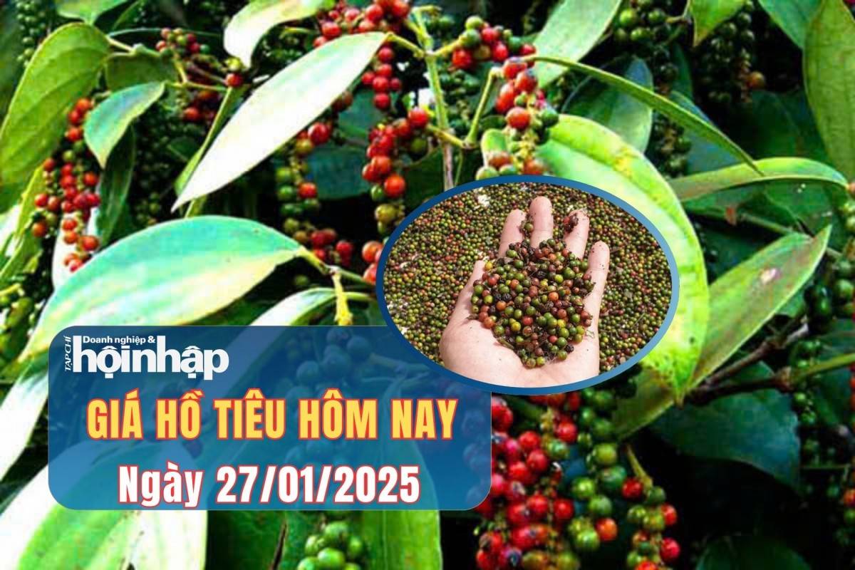 Giá tiêu hôm nay 27/1: Giá tiêu trong nước và thế giới ổn định