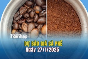 Dự báo giá cà phê 27/1: Giá cà phê trong nước tăng mạnh