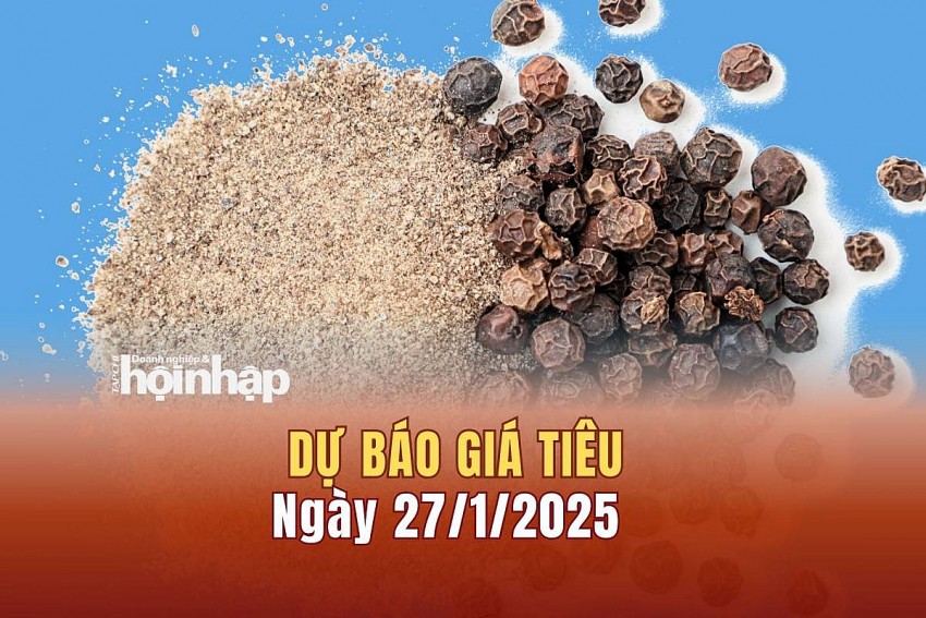 Dự báo giá tiêu 27/1/2025