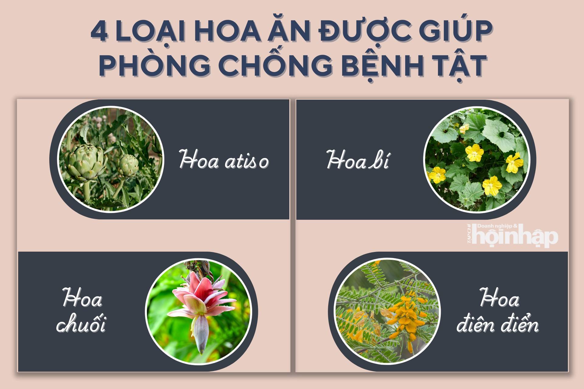 4 loại hoa ăn được giúp phòng chống bệnh tật