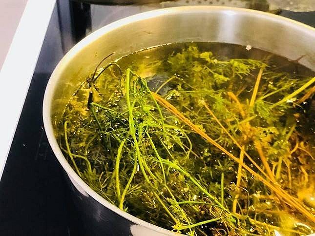 Khám phá tác dụng của việc tắm lá mùi già vào chiều Tất niên Khám phá tác dụng của việc tắm lá mùi già vào chiều Tất niên