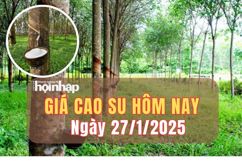 giá cao su giá cao su