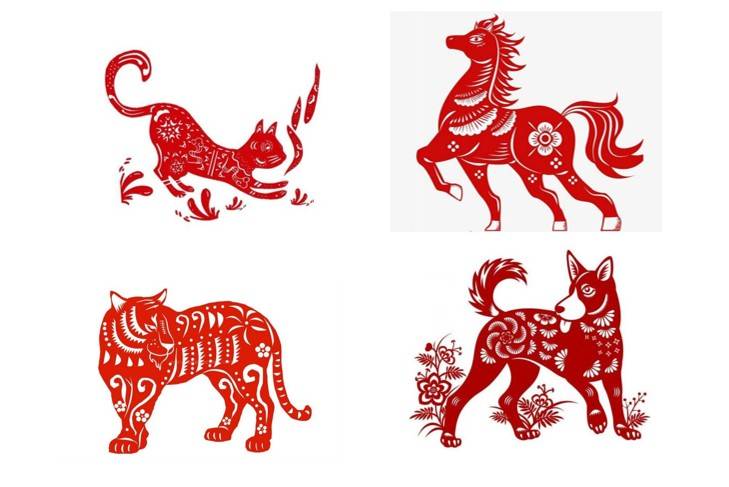 Tử vi - Vận số ngày 29/01/2025: Tài lộc của người tuổi Tuất dồi dào và thuận lợi