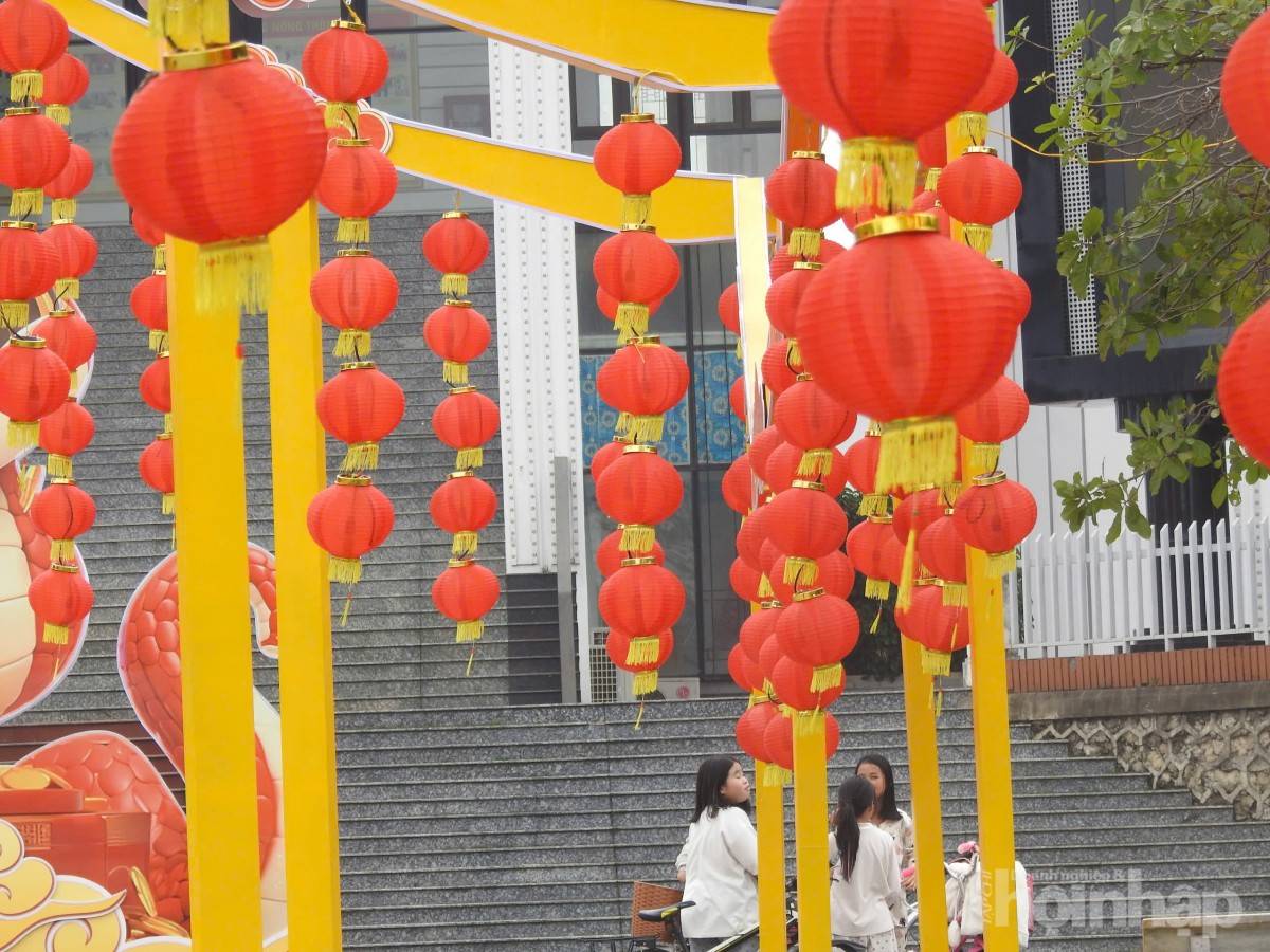 Phú Thọ: Thị xã lâu đời nhất rực rỡ đón xuân 2025