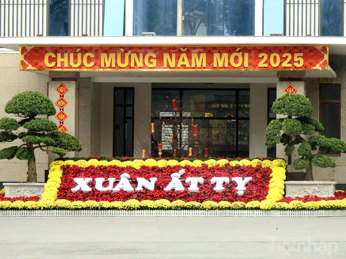 Phú Thọ: Thị xã lâu đời nhất rực rỡ đón xuân 2025
