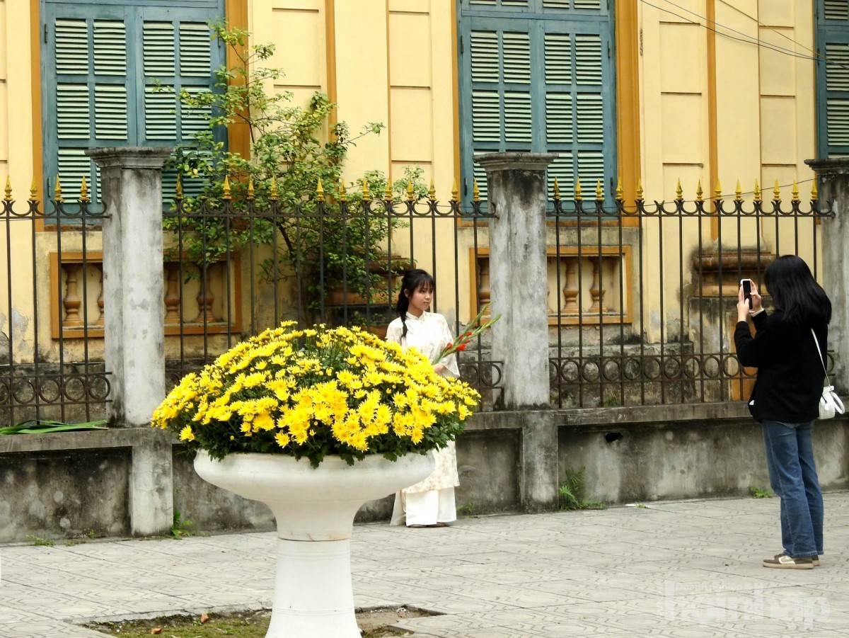 Phú Thọ: Thị xã lâu đời nhất rực rỡ đón xuân 2025