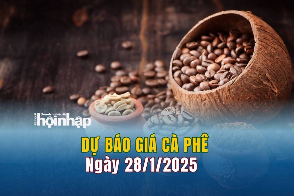 Dự báo giá cà phê 28/1: Giá cà phê trong nước tiếp đà tăng