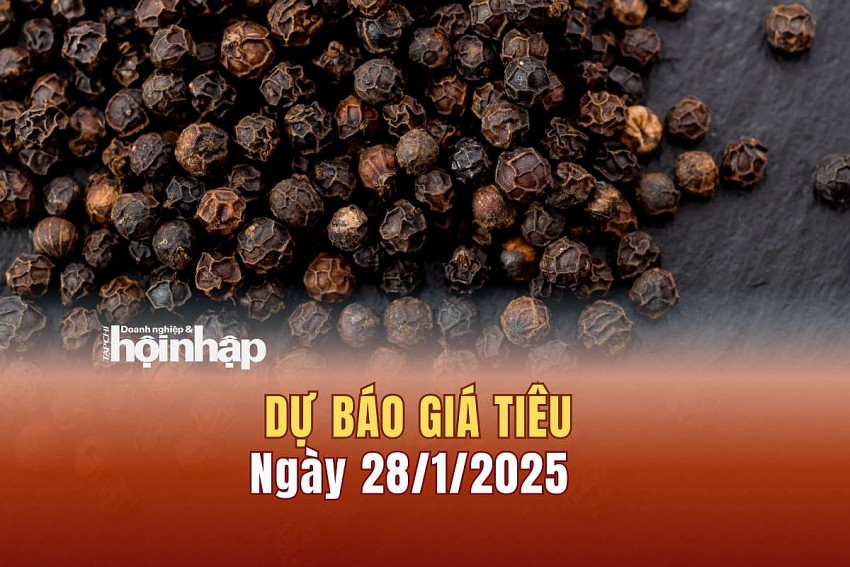Dự báo giá tiêu 28/1/2025 Dự báo giá tiêu 28/1/2025