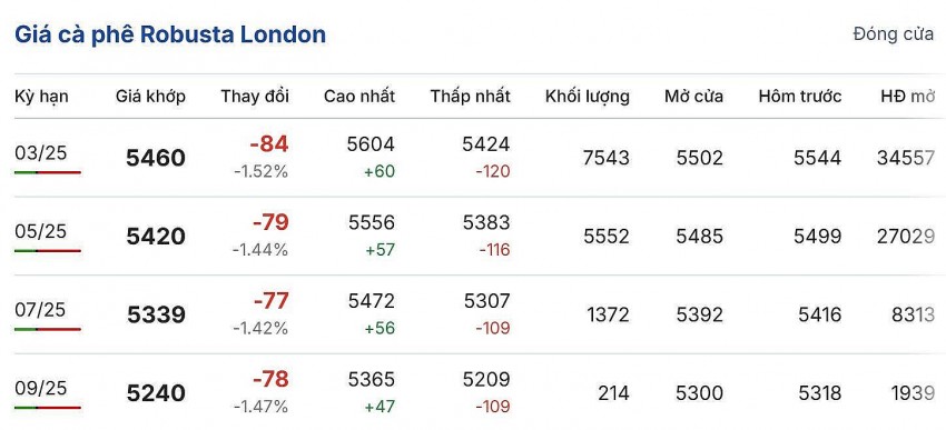 Cập nhật: 28/01/2025 lúc 06:40:01 (delay 10 phút)