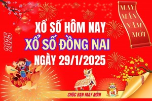 XSDN 29/1, Kết quả xổ số Đồng Nai hôm nay 29/1/2025, Trực tiếp XSDN ngày 29 tháng 1