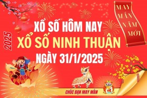 XSNT 31/1, Kết quả xổ số Ninh Thuận hôm nay 31/1/2025, Trực tiếp XSNT ngày 31 tháng 1