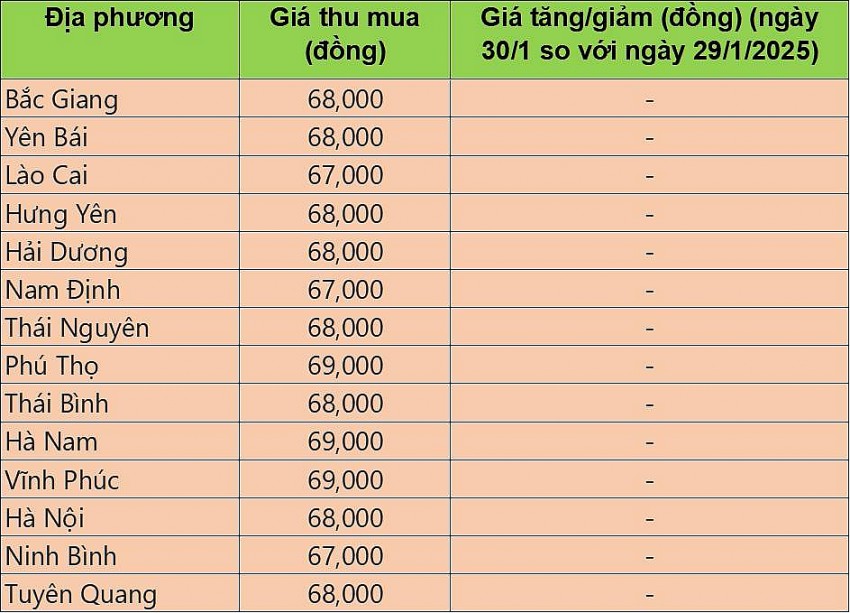 Bảng giá heo hơi tại miền Bắc hôm nay 30/2025. Bảng giá heo hơi tại miền Bắc hôm nay 30/2025.