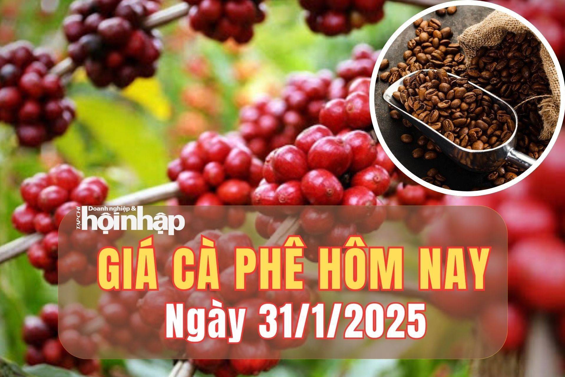 Giá cà phê hôm nay 31/1/2025: Giá cà phê trong nước và thế giới tiếp đà tăng mạnh