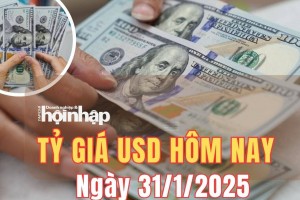 Tỷ giá USD hôm nay 31/1/2025: Chỉ số USD Index tăng 0,14%, đạt mức 108,14 điểm