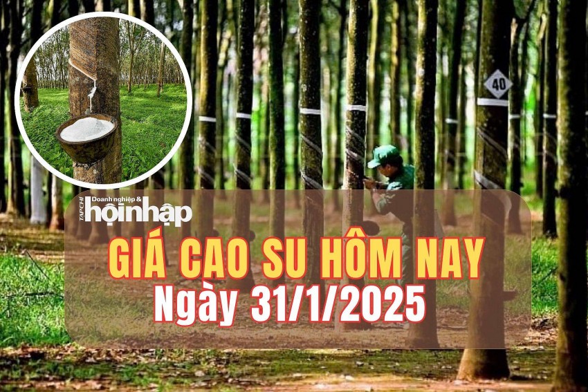 giá cao su giá cao su