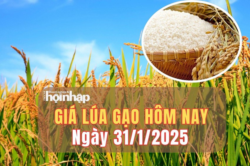 giá lúa gạo