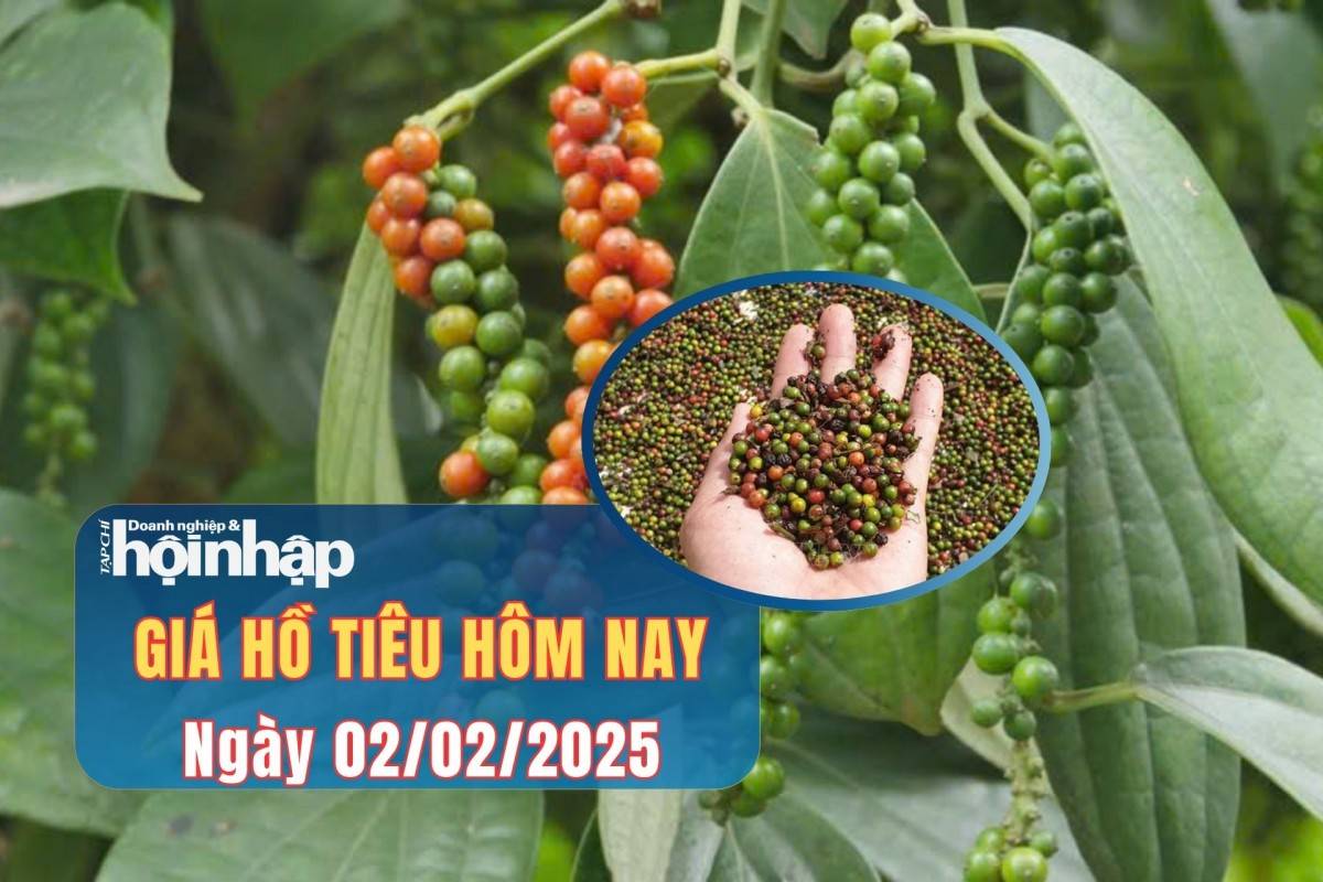 Giá tiêu hôm nay 2/2: