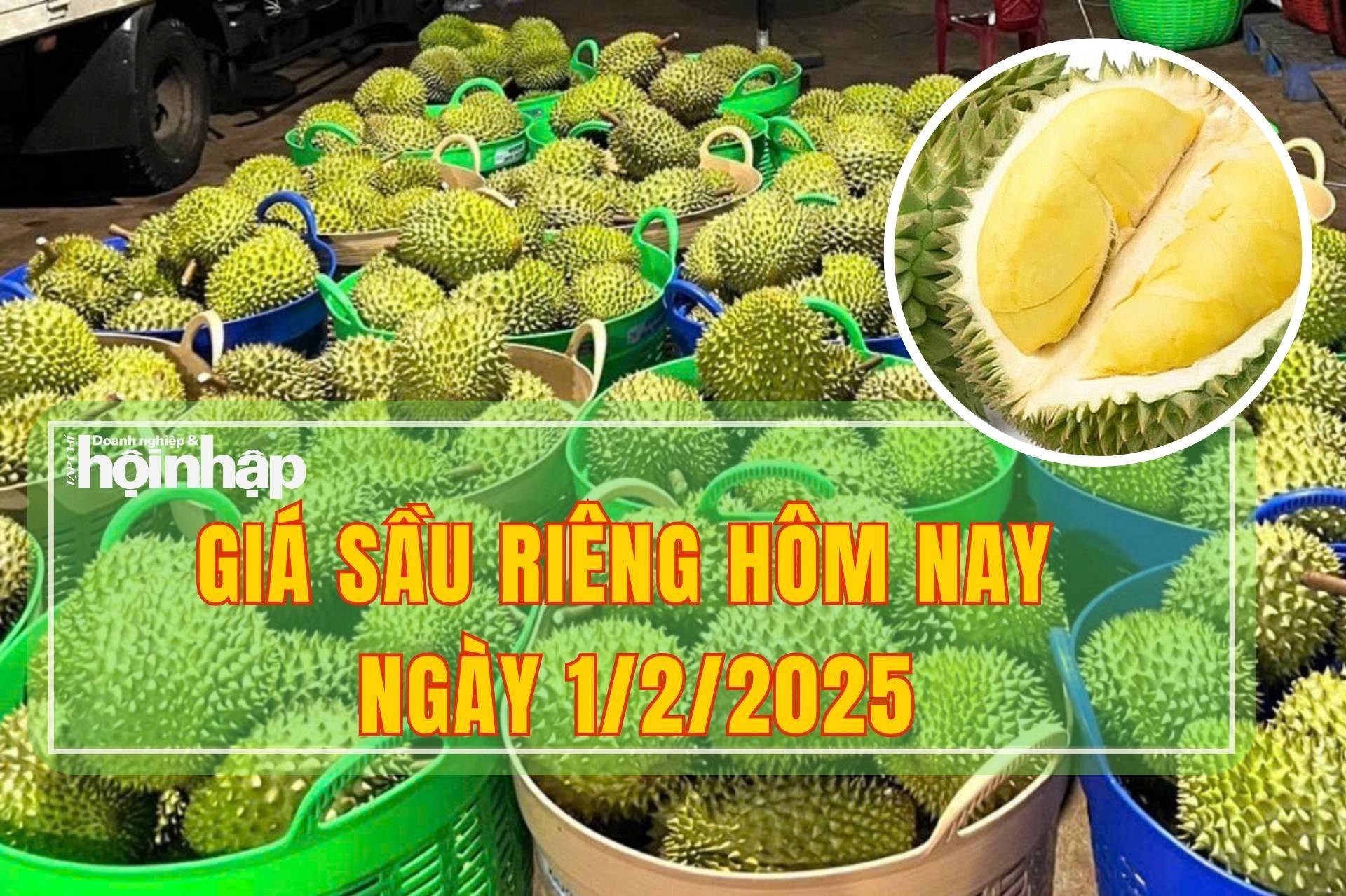 Giá sầu riêng hôm nay 1/2: Thị trường đang trở lại đà tăng