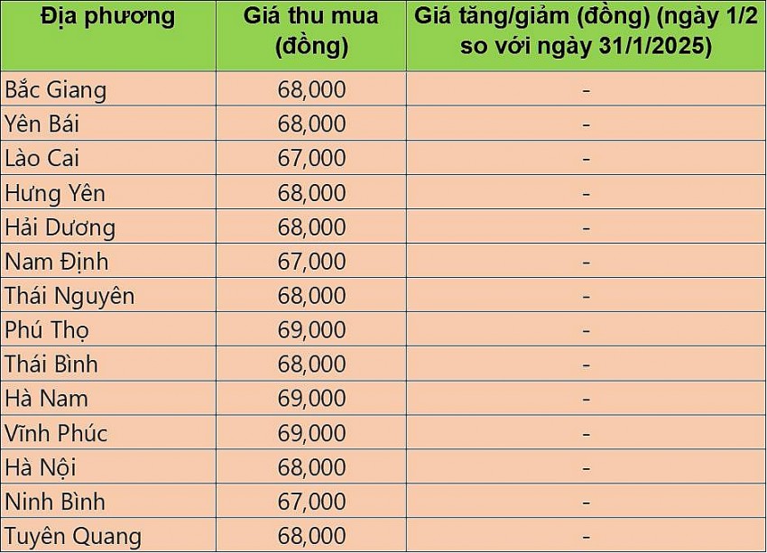giá heo hơi giá heo hơi