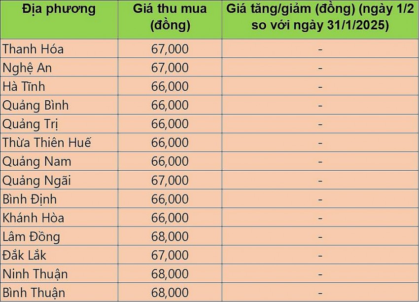 giá heo hơi giá heo hơi