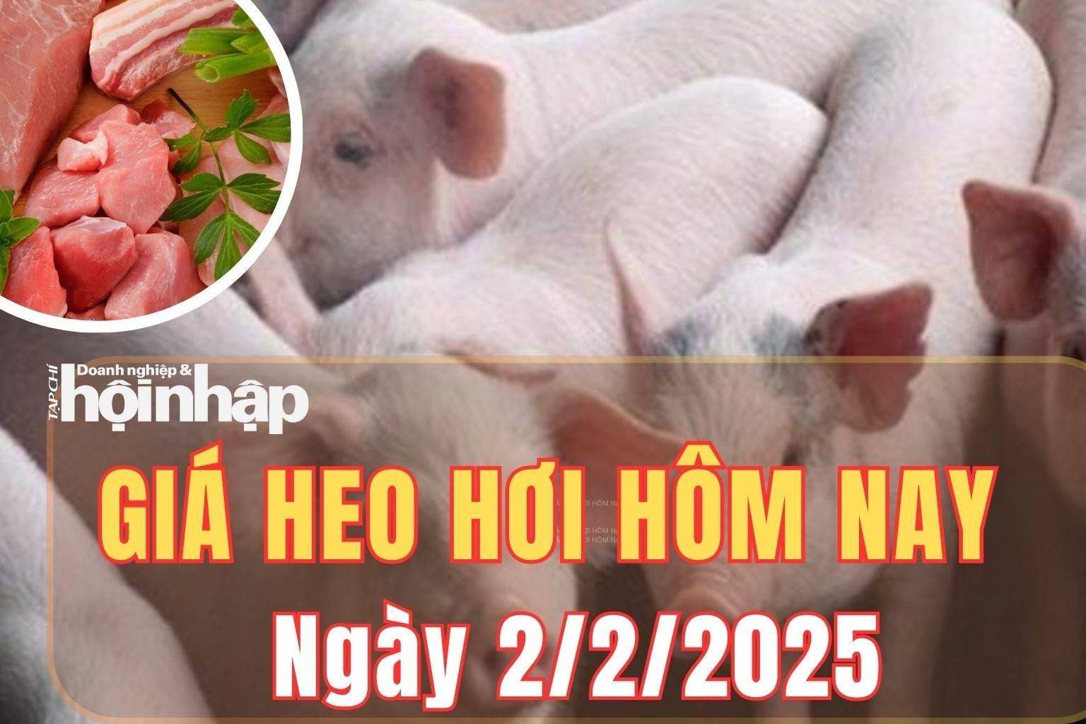 Giá heo hơi hôm nay 2/2/2025: Giá heo hơi ổn định do nhu cầu không đột biến sau những ngày Tết