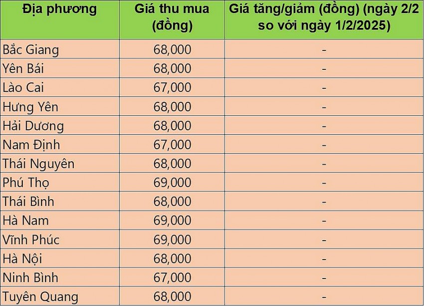 giá heo hơi giá heo hơi