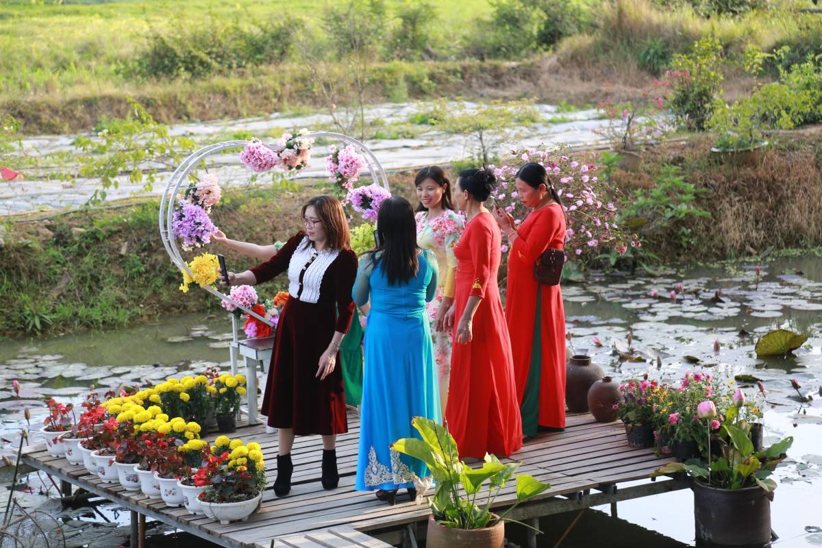 Đông đảo khách tham quan Thành Nhà Hồ dịp Tết Ất Tỵ