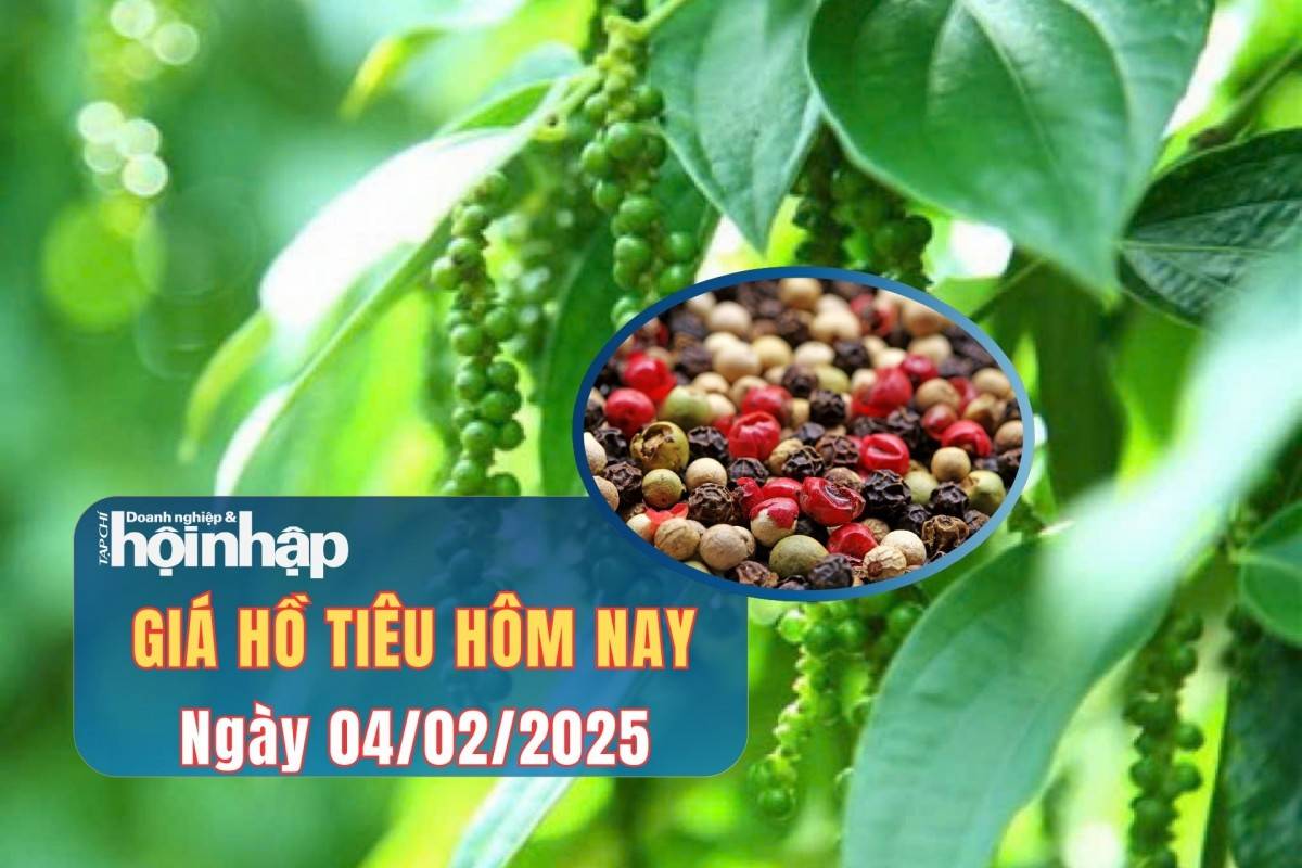 Giá tiêu hôm nay 4/2: Tiêu trong nước tăng mạnh sau kỳ nghỉ tết nguyên đán