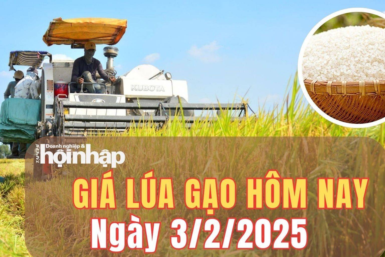 Giá lúa gạo hôm nay 3/2/2025: Trong tuần nghỉ Tết, giá lúa gạo tại Đồng bằng sông Cửu Long giữ bình ổn