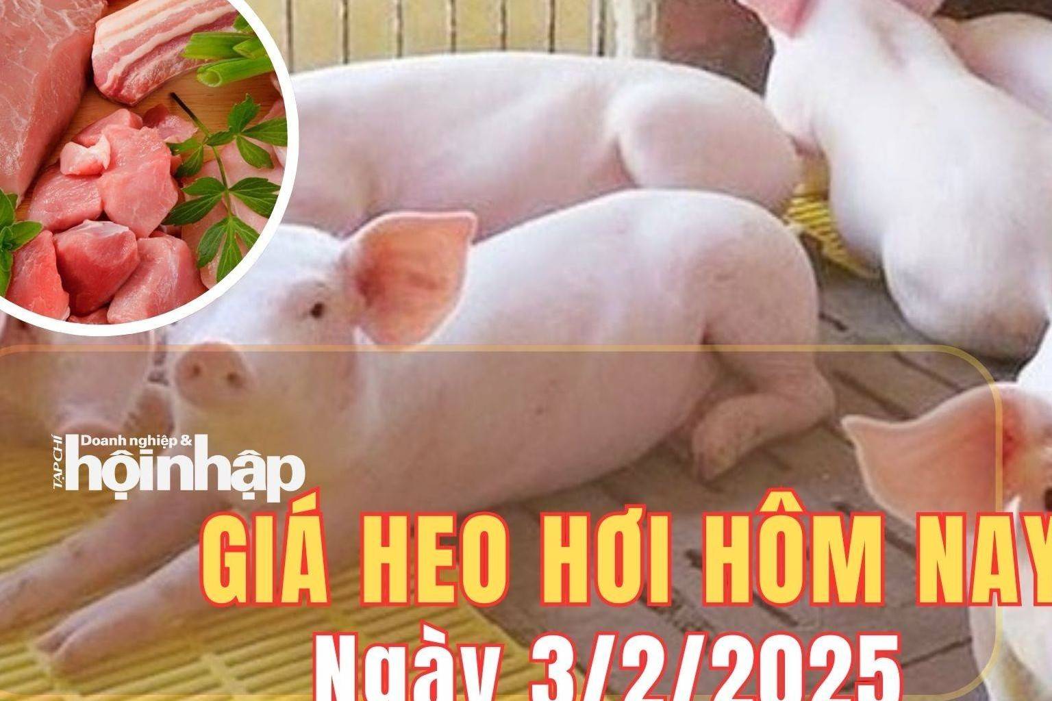 Giá heo hơi hôm nay 3/2/2025: Giá heo hơi đồng loạt đi ngang trong ngày đầu tiên sau kỳ nghỉ Tết Nguyên đán