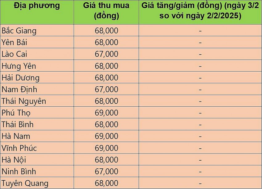 giá heo hơi giá heo hơi