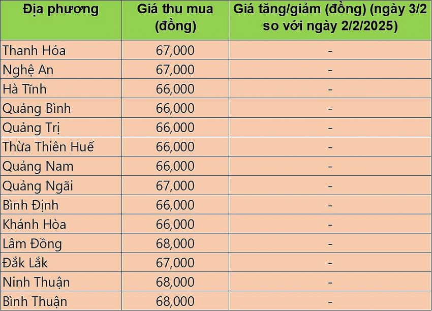 giá heo hơi giá heo hơi