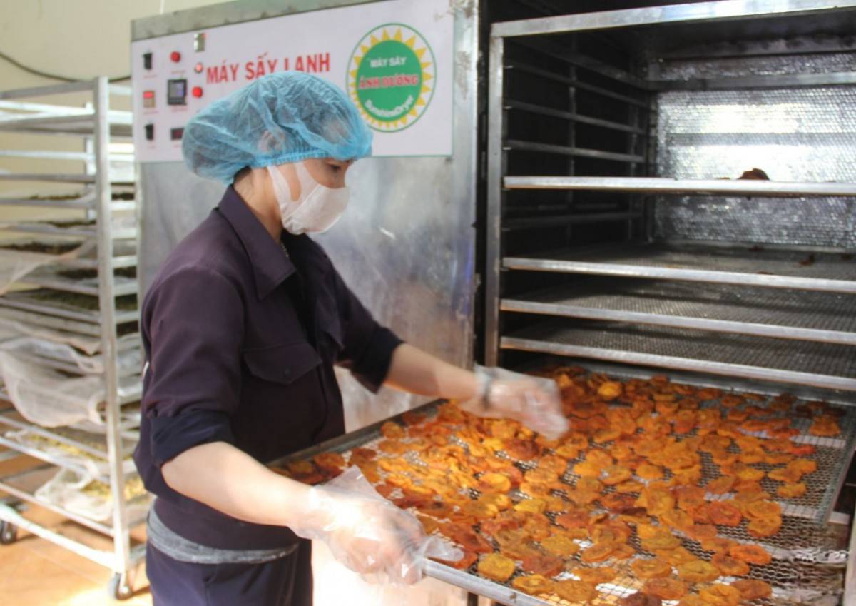 Sơn La: Thị xã Mộc Châu dẫn đầu về nông sản với 32 sản phẩm OCOP Sơn La: Thị xã Mộc Châu dẫn đầu về nông sản với 32 sản phẩm OCOP