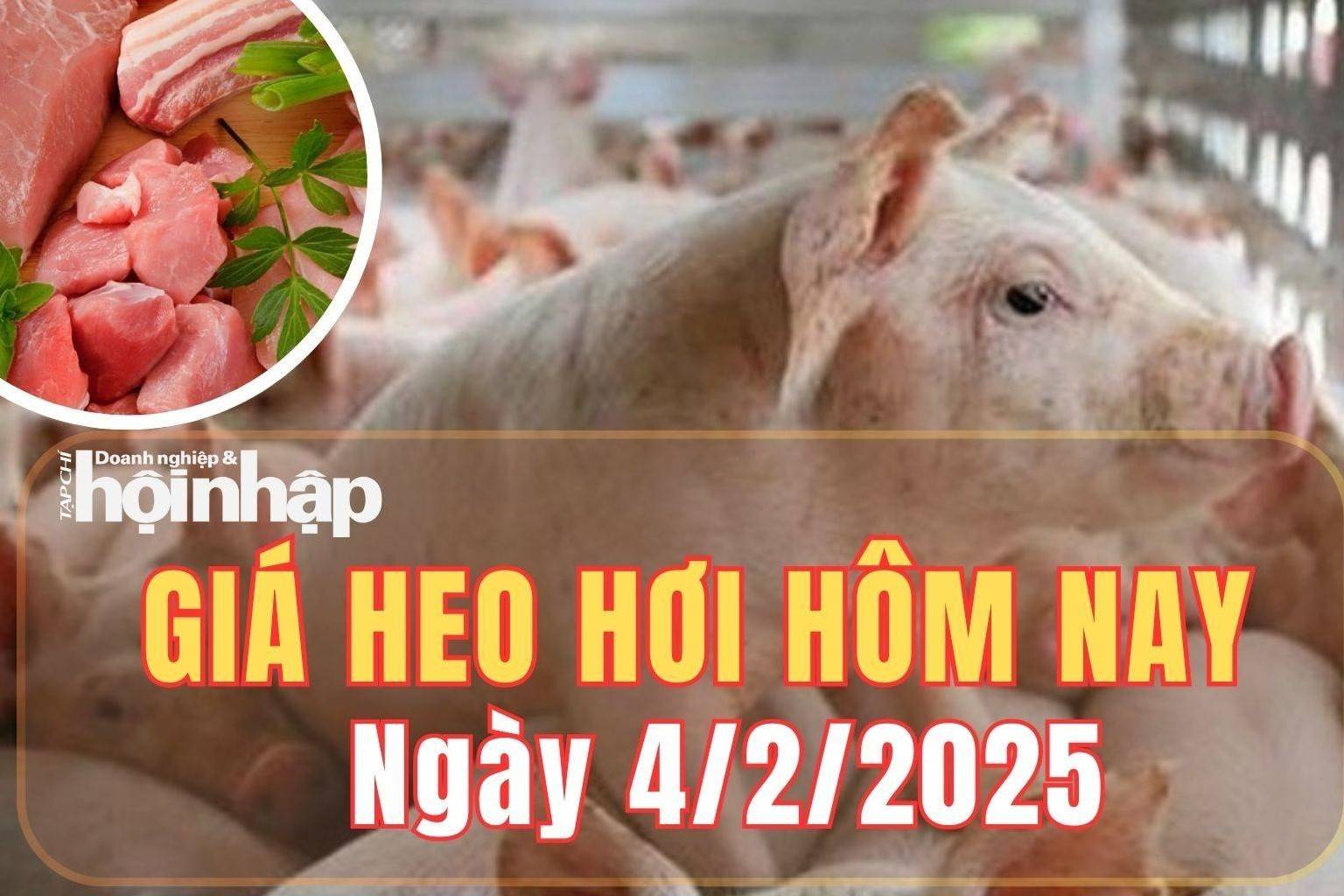 Giá heo hơi hôm nay 4/2/2025: Giá heo hơi tăng từ 1.000 – 2.000 đồng tại nhiều địa phương trên cả nước