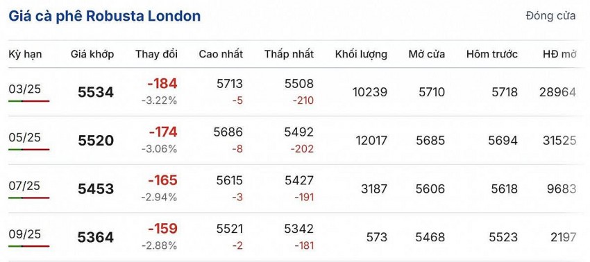Giá cà phê hôm nay 4/2/2025: Giá cà phê trong nước tăng mạnh từ 1.700 - 1.900 đồng/kg