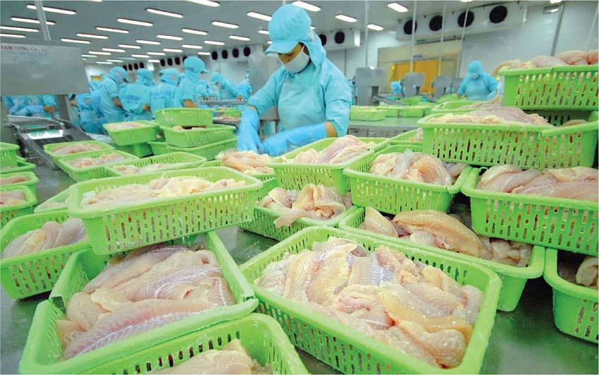 Giá cá tra xuất khẩu tăng cao ngay từ đầu năm mới