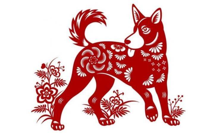 Tử vi 12 con giáp hôm nay ngày 21/6/2025 tuổi Tuất